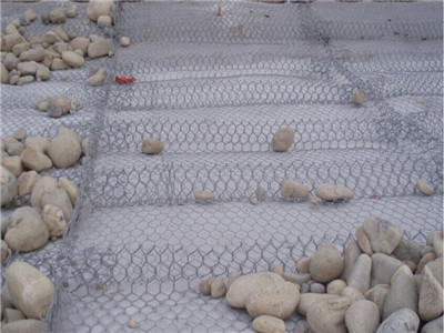 高爾凡雷諾護墊